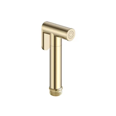 Гигиеническая лейка Aquame AQM8511BG