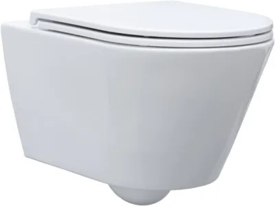 Подвесной безободковый унитаз Aquanet LAKE-W 316461